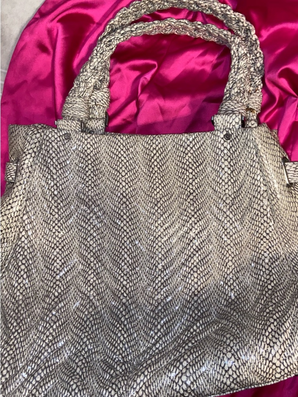 Cole Haan Tote Bag with Braided Handles